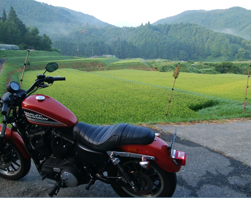 883R　ストレス解消